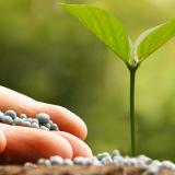 Nutrient Stewardship